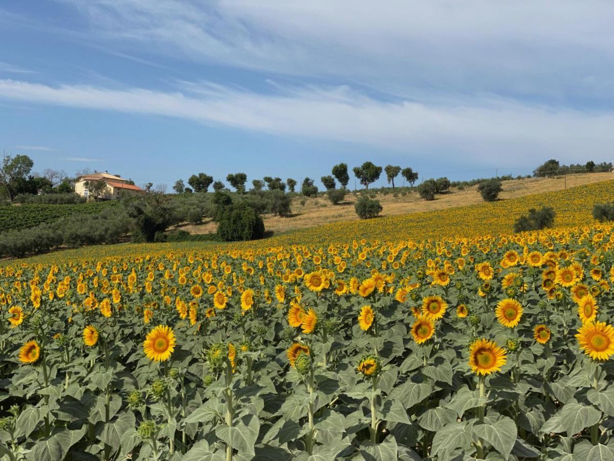 דירות San Marcello  Girasole מראה חיצוני תמונה