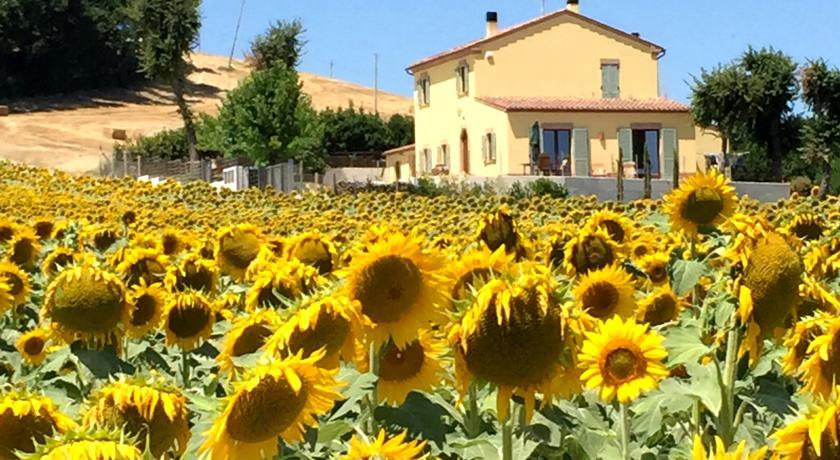 דירות San Marcello  Girasole חדר תמונה